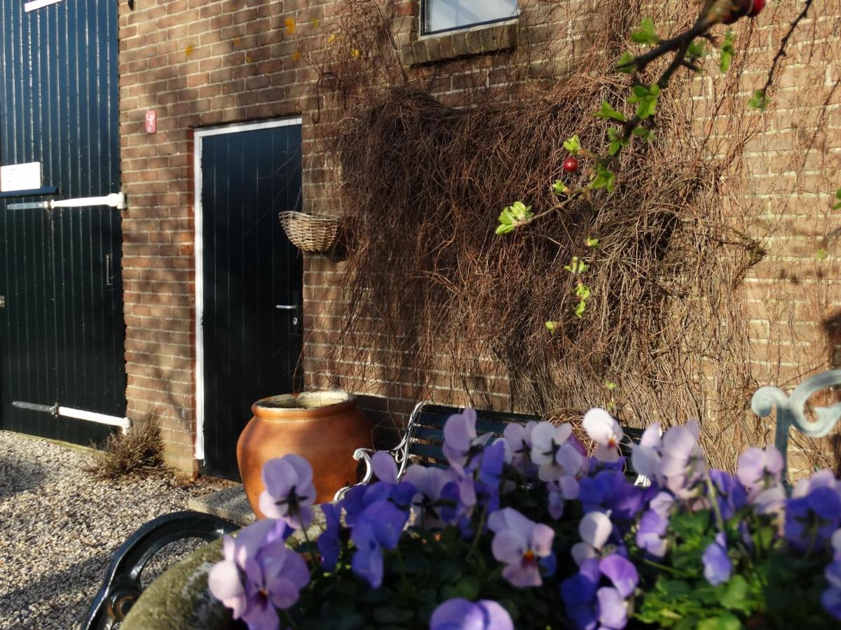 Droom In De Polder -de Salon- Luxe Met Prive-sauna Appartamento Arnemuiden