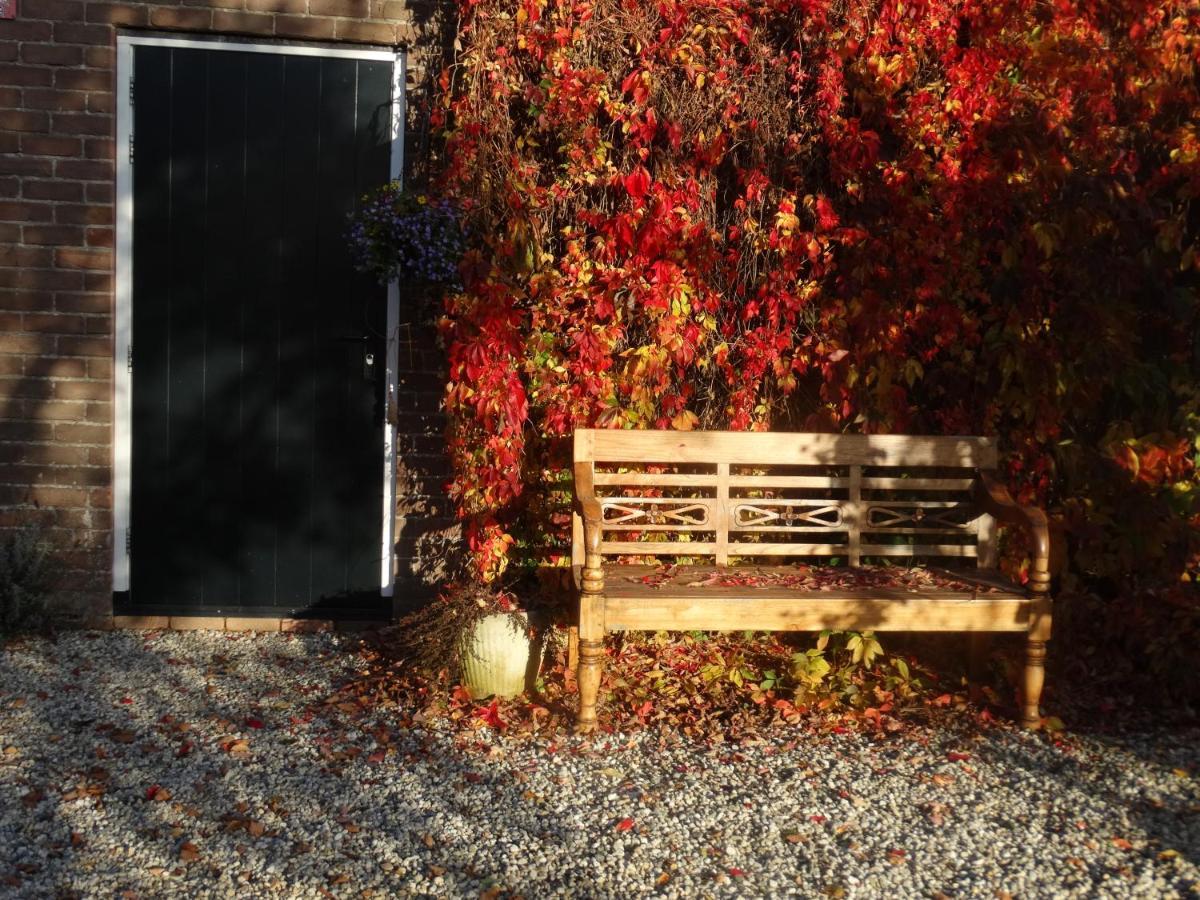 Droom In De Polder -de Salon- Luxe Met Prive-sauna Appartamento